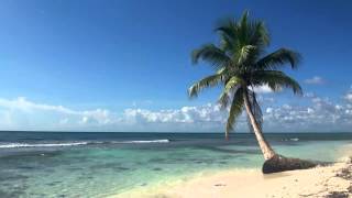 Relaxing 3 Hour Audio Of A Tropical Beach With Blue Sky White Sand And Palm Tree Relaxing 3 Hour Audio Of A Tropical Beach With Blue Sky White Sand And Palm Tree