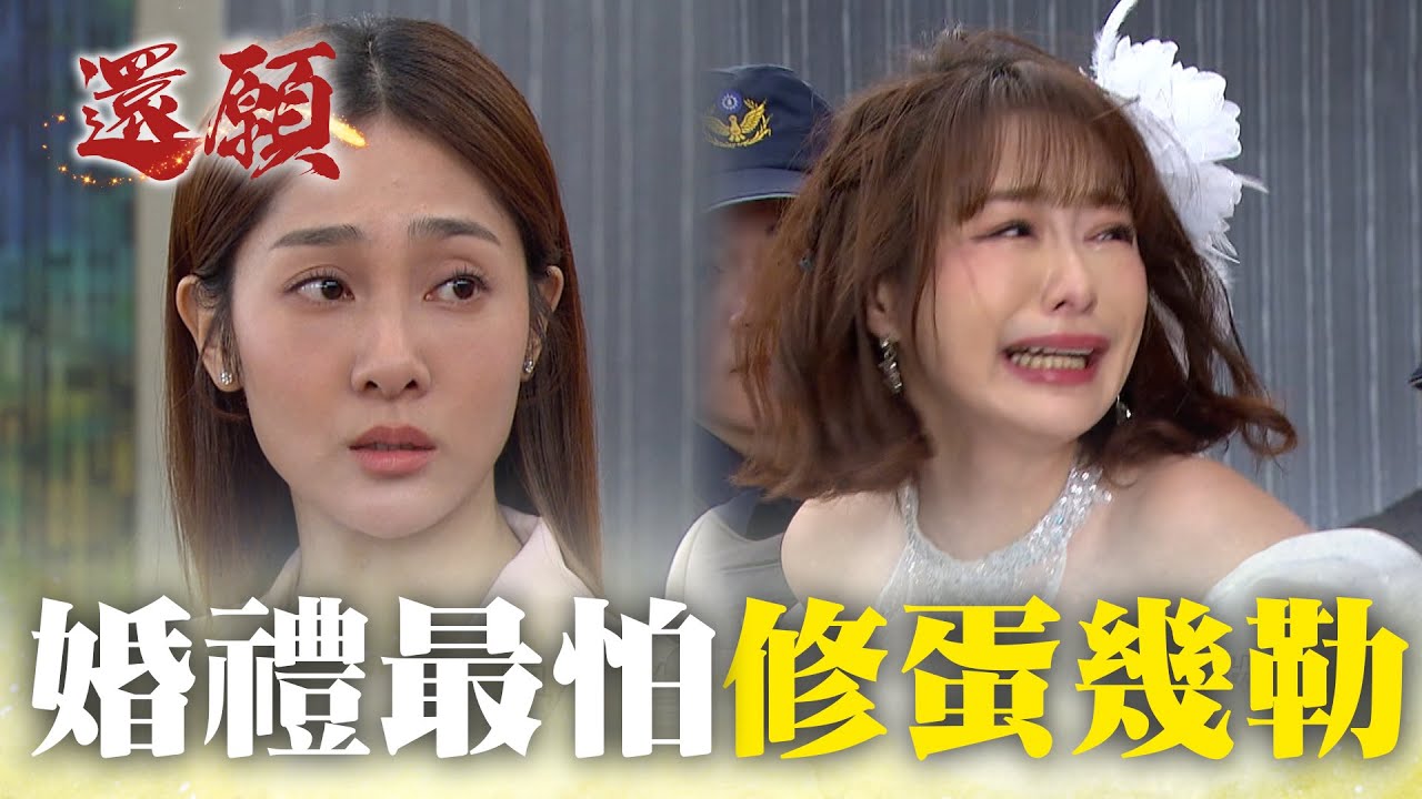 每場婚禮最怕的就是「修蛋幾勒」！報應直接來臨！｜#願望 EP223｜三立台劇