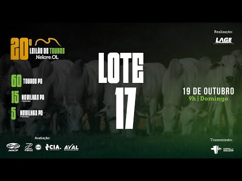 LOTE 17 A6273 PO - 20º Leilão de Touros Nelore OL