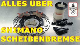 Shimano Scheibenbremse Bremsbeläge tauschen Funktionsweise erklärt Bremse entlüften.