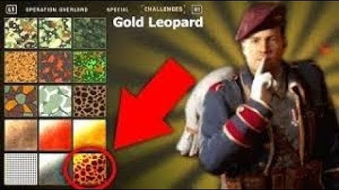 How to unlock the "NEW" golden leopard camo Call of Duty WW2