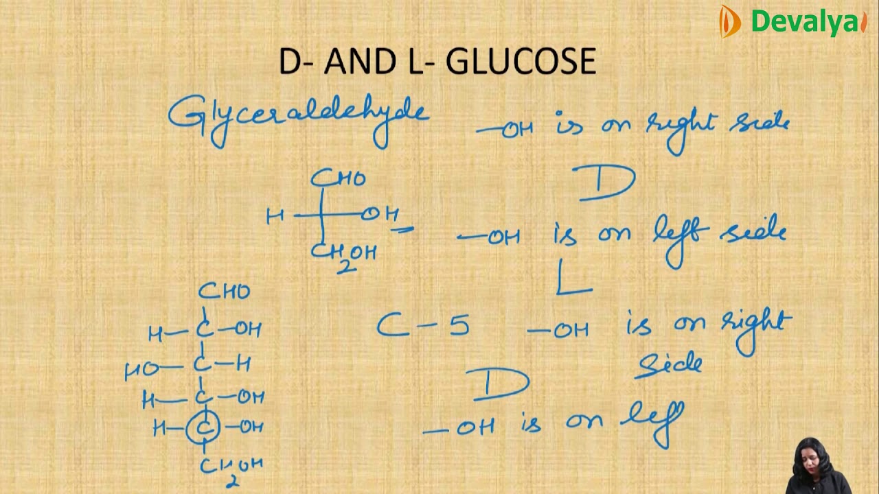 Biomolecules Class XII NCERT YouTube