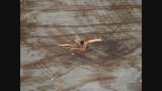 Dukes of Hazard Style Exploding arrow testing.  Firey End Profile