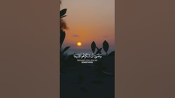وعسى أن تكرهوا شيئا وهو خير لكم - القارئ { ماهر المعيقلي }
