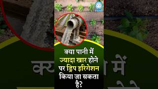 क्या पानी में ज्यादा खार होने पर ड्रिप इरिगेशन किया जा सकता है? #agritech #dripsystem #khetibadi