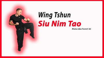 Siu Nim Tao Form Sets 1-8 in Slow Motion [#wingtsunkungfu  - #wingtsun #wingchun #詠春 #詠春拳 ]