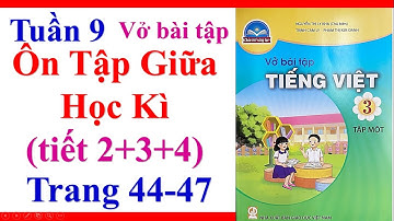 Vở Bài Tập Tiếng Việt Lớp 3 | Tuần 9 | Ôn Tập Giữa Học Kì 1 | Tiết 2 3 4 | Trang 44 47
