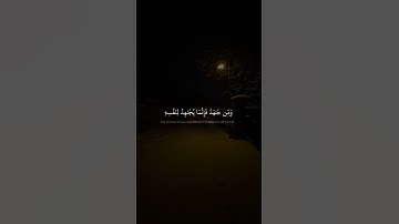 وَمَن جَٰهَدَ فَإِنَّمَا يُجَٰهِدُ لِنَفۡسِهِۦٓۚ | سورة العنكبوت | محمد صديق المنشاوي
