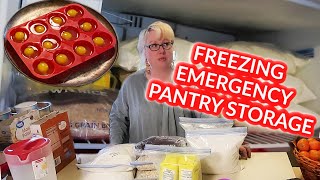 QUARANTINE Kitchen | HOW To FREEZE BREAD, EGGS, FLOUR, MILK, RICE, OATMEAL, CHEESE, BUTTER  LOTS!