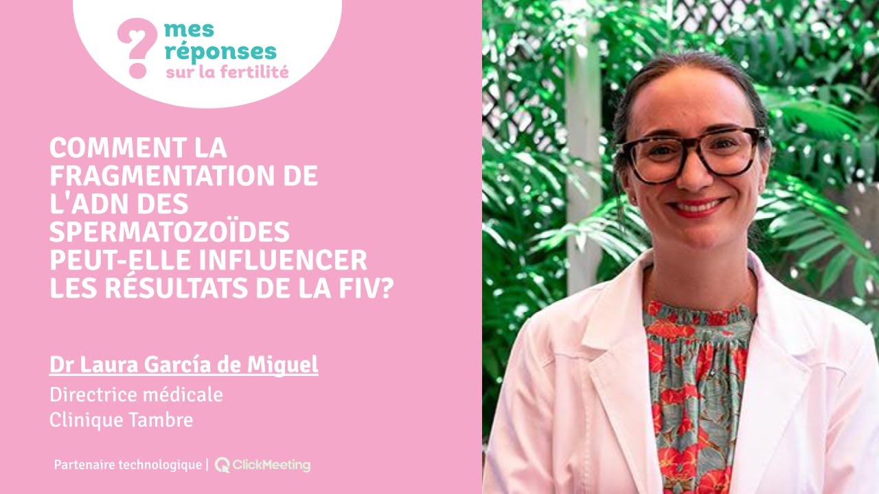 Résultats de la FIV : le rôle de la fragmentation de l’ADN des spermatozoïdes | Clinica Tambre
