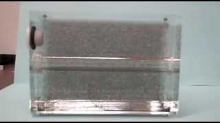 Magnetic Field of a Bar Magnet