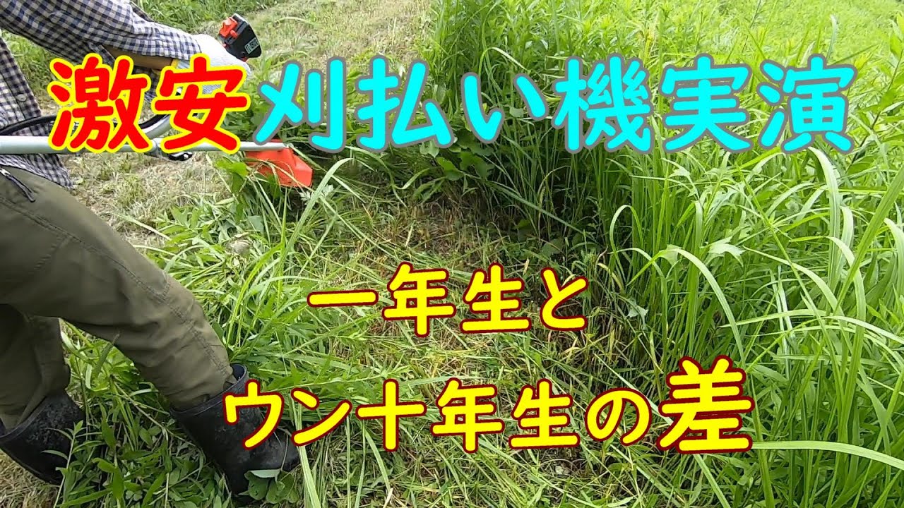 草刈り なかなか始動しない激安刈払い機で実際に草刈り 経験一年生とウン十年生の差がついに ハイガー産業hg 260 Youtube