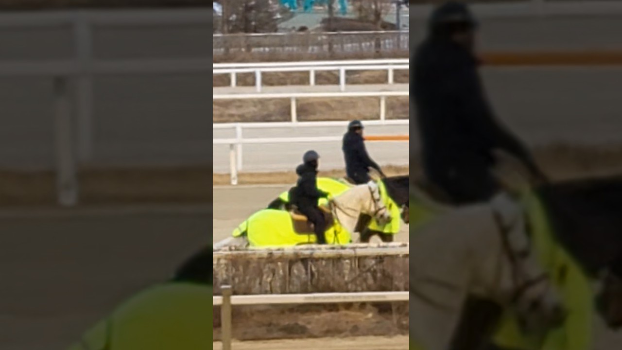 경주마 유도원 #경마 #말 #달려라말 #shorts #horse