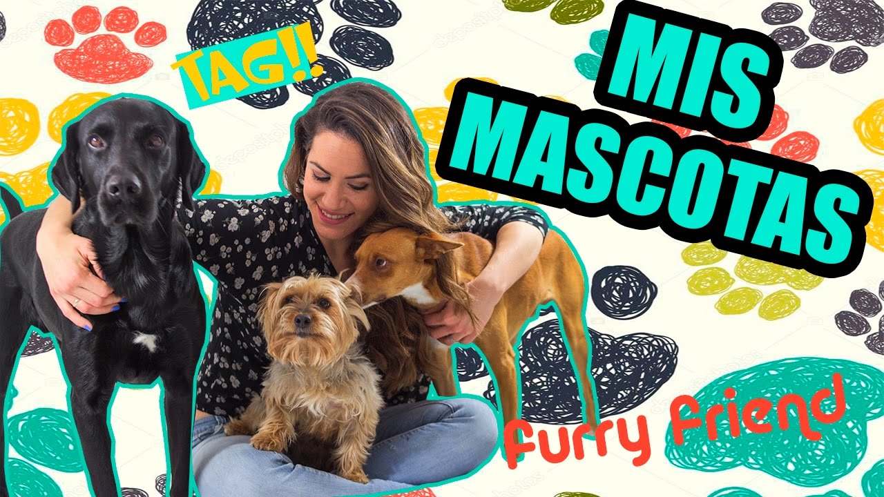 MIS MASCOTAS 🐾FURRY FRIEND TAG ¿ADOPTADOS? - YouTube