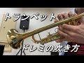 【トランペット】ドレミの吹き方　How to play the scale for Trumpet?【トランペットレッスン】