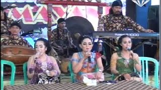 PANGKUR  - Campursari  SekarmayanK (Call: 628122598859)