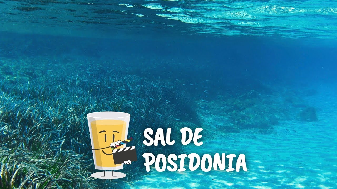 Sal de posidonia, una forma de hacer pan con menos sodio