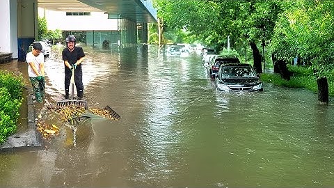 Drain Discovery My Fascination with Unclogging Unleashed!