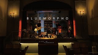 BLUE MORPHO - live in Florence (Full version)