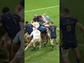 Highlights 2° Round EPCR Challenge Cup | Aviron Bayonnais 7 vs Benetton Rugby 45 #short