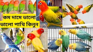 সস্তায় ভালো ভালো লাভ বার্ড ককাটেল কনুর বদ্রি পাখি কিনুন । ফোন 9064504199