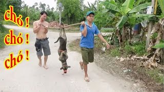 见识一下，疯狂的越南人杀二哈做美食吃，手法独特不浪费一点