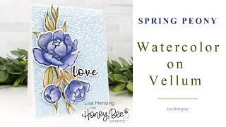 Stamping and Watercoloring on Vellum Paper | Handmade Cards
