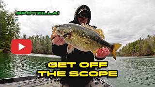 Cracking the code on the Late Winter to Prespawn transition (Philpott Reservoir)