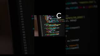 C vs C++ vs Python vs Java 🔥 Which Language Should Beginners Learn First