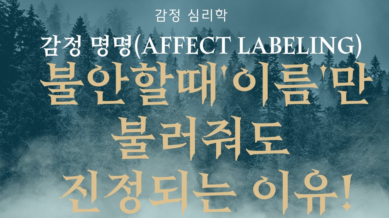 [심화 감정 심리학] 불안할 때 '이름'만 불러줘도 진정되는 이유: 감정 명명(Affect Labeling)의 과학 - YouTube