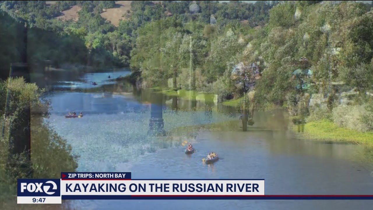 Kayaking on the Russian River YouTube