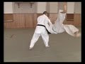 Yoshinkan aikido  shomen uchi jiyu waza