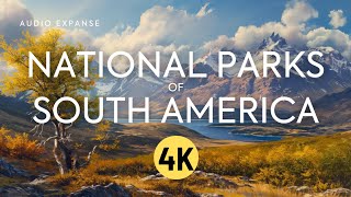 Explore South America's National Parks in Stunning 4K | 4K Nature Ambience