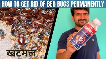 How to get rid of bed bugs permanently | How to use bed bugs killer spray | Best bed bugs pesticide