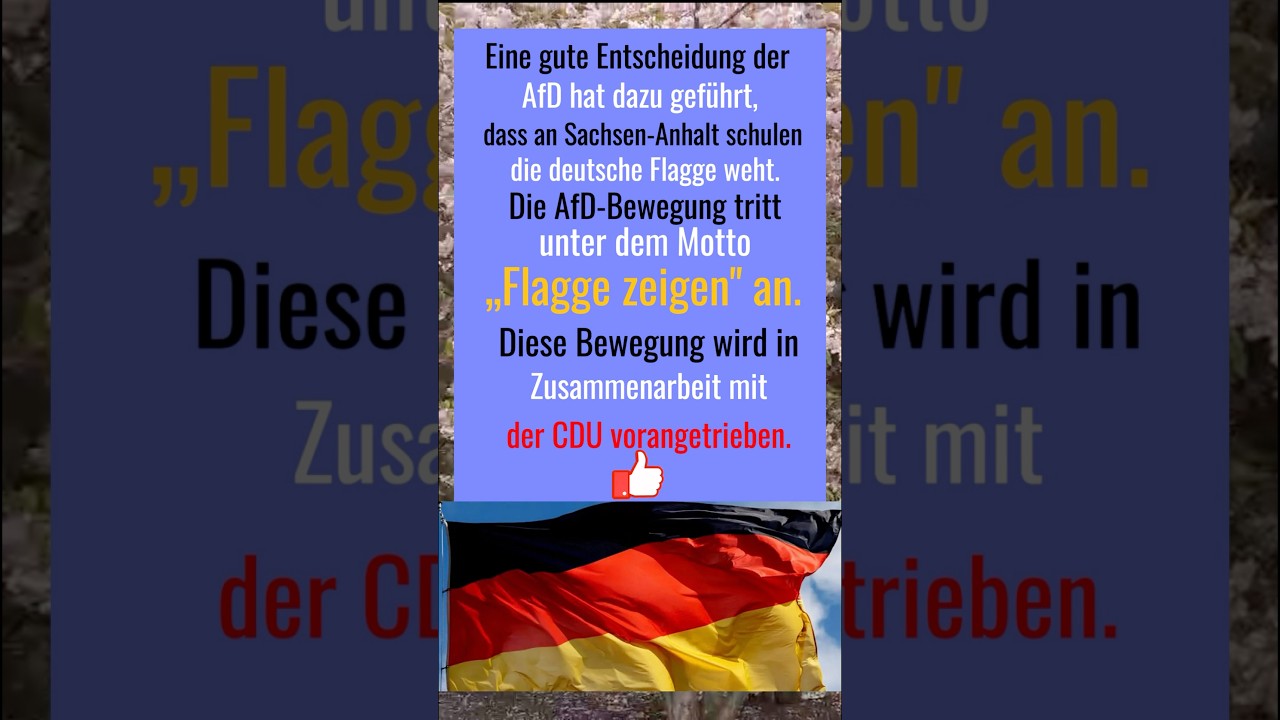 „Flagge zeigen" an. Eine gute Entscheidung der AfD hat dazu geführt, dass an Sachsen-Anhalt schulen