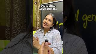 CSIR NET Life Science | Drosophila Development in 60 Seconds