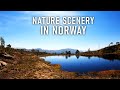 Virtual Run, Norwegian Nature Scenery (And a Transparent Toilet Door) | Treadmill Workout, 4k