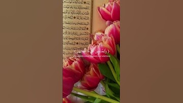 قران كريم اجر لي و لكم...🥺