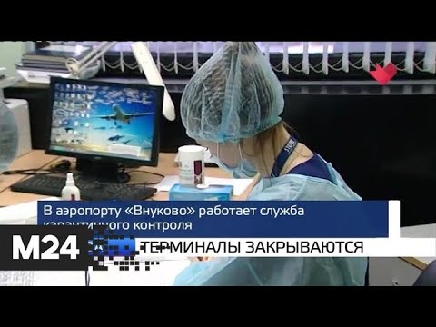 "Москва и мир": терминалы закрываются и неожиданный эффект - Москва 24