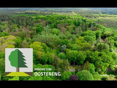 Video: Arboretum is een uniek stukje natuur