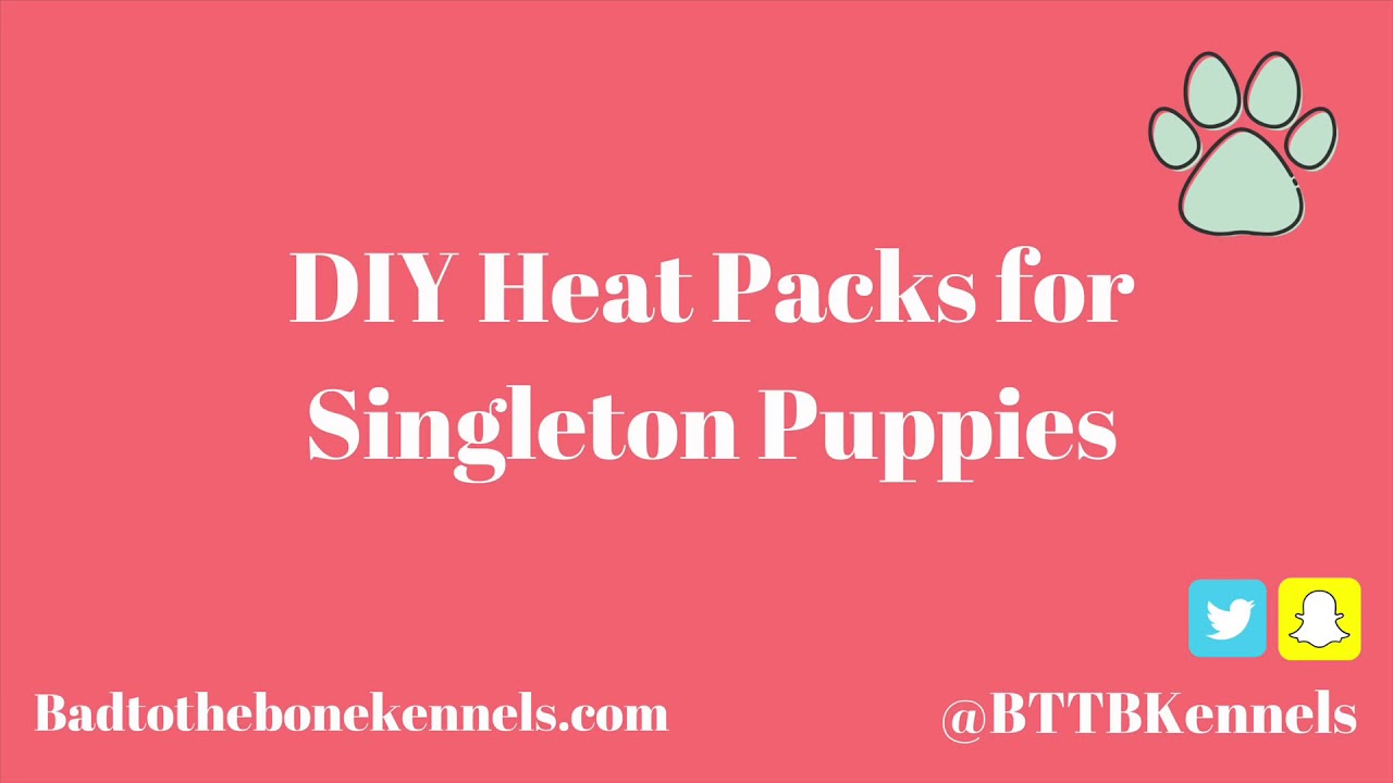 Singleton Puppy Heat Packs DIY Bad to the Bone Kennels XL