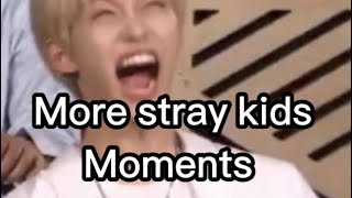 More stray kids moments (sorry if it’s short)