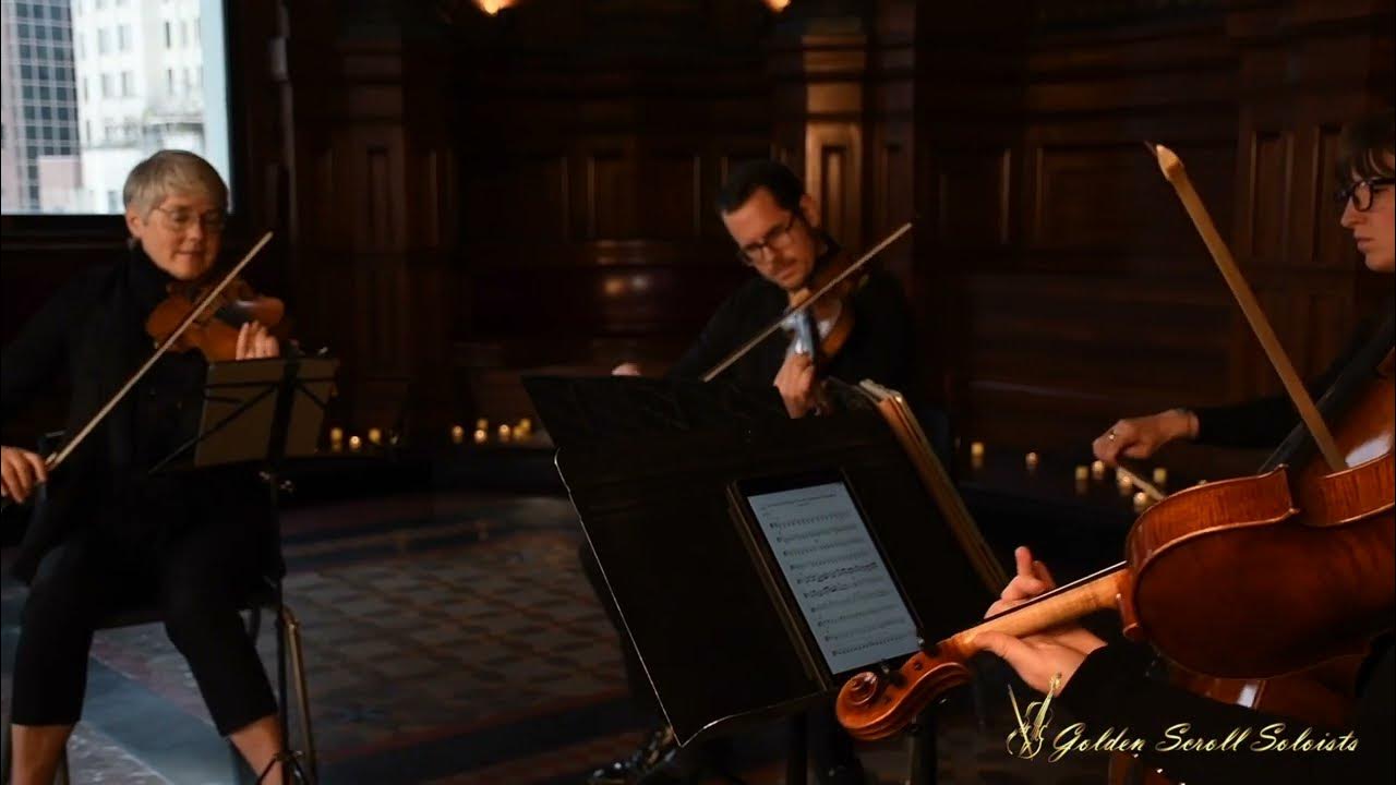 Can't Help Falling in Love/Canon in D Mashup - string quartet Can't Help Falling in Love/Canon in D Mashup - string quartet