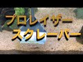プロレイザースクレーパー！最強の水槽の苔を落とす道具！