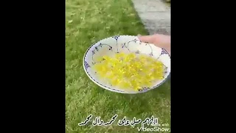 إن الله وملائكته يصلون على النبي تلاوة #حمزة_نصايرة