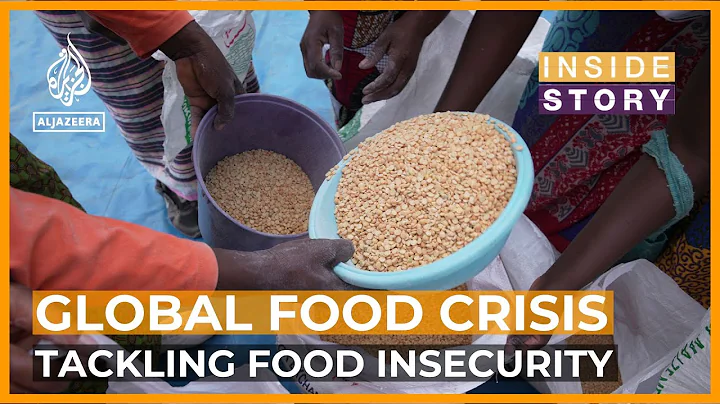 How can we reduce global food insecurity? | Inside Story