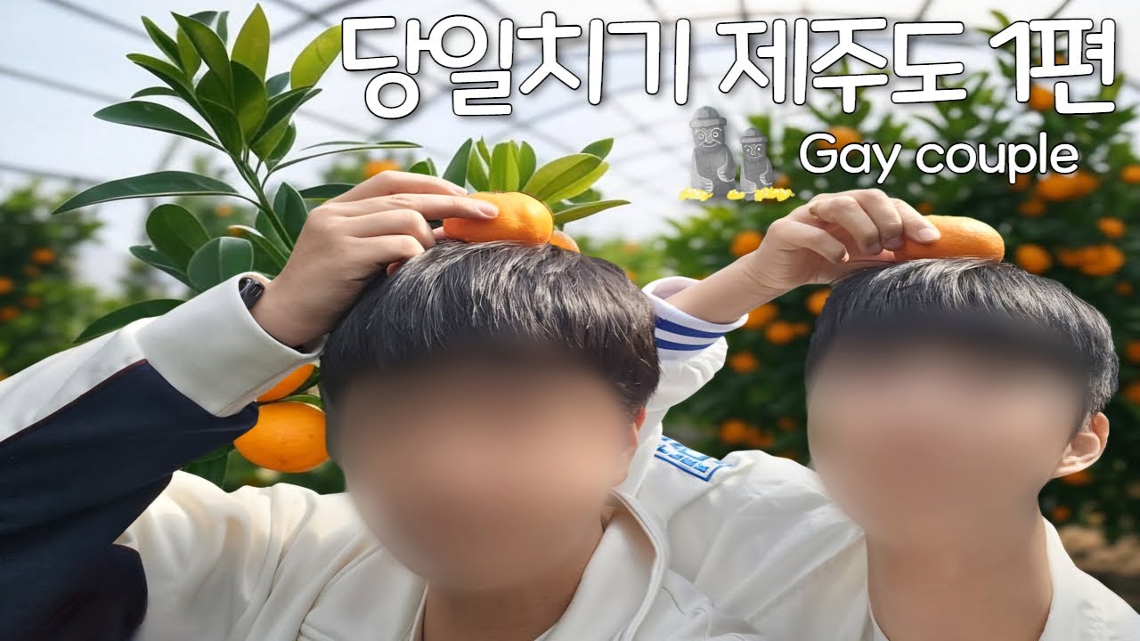 [SUB] 게이 커플 🍊 귤남이와 함께하는 당일치기 제주 여행 브이로그 1편  -  Korean Gay Couple Vlog (Jeju island : Vlog #1)