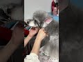 ✂️ Curved Dog Grooming Scissors | Angled Shears for Precise Face & Paw Trimming 🐾