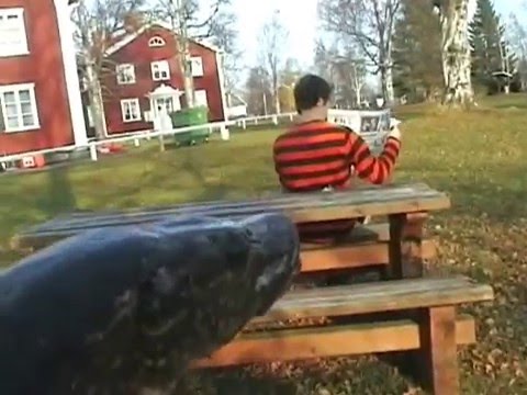 Bild från Skräckis: Gäddhäng