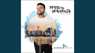 Video thumbnail of "Marcel Macias - Perro Sinvergüenza"